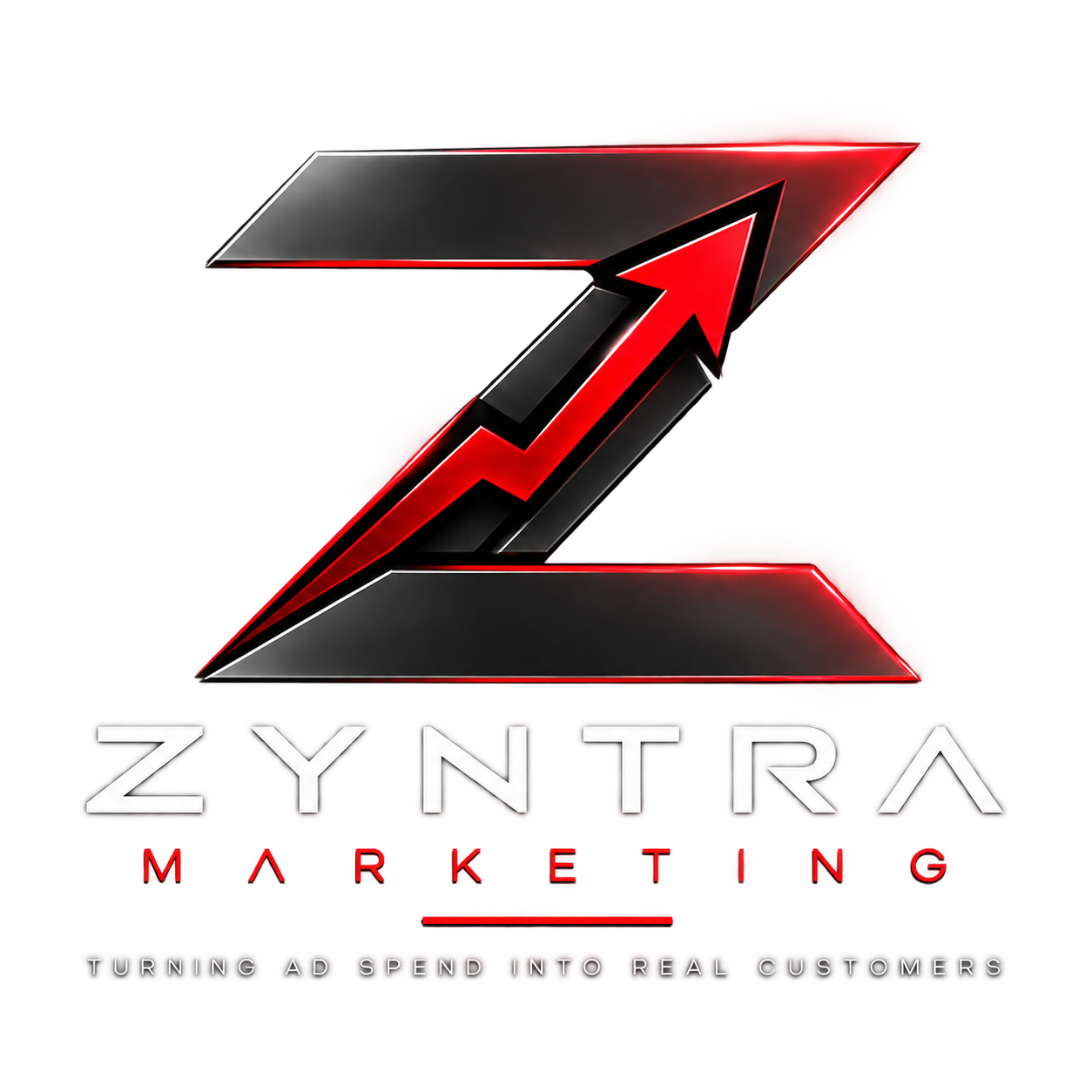 Zyntra Marketing — Turning ad spend into real customers